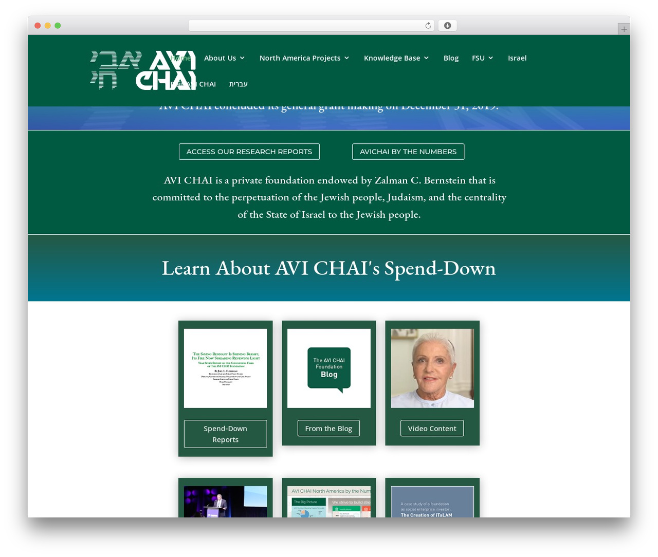 WordPress theme Divi - avichai.org WordPress theme Divi - avichai.org