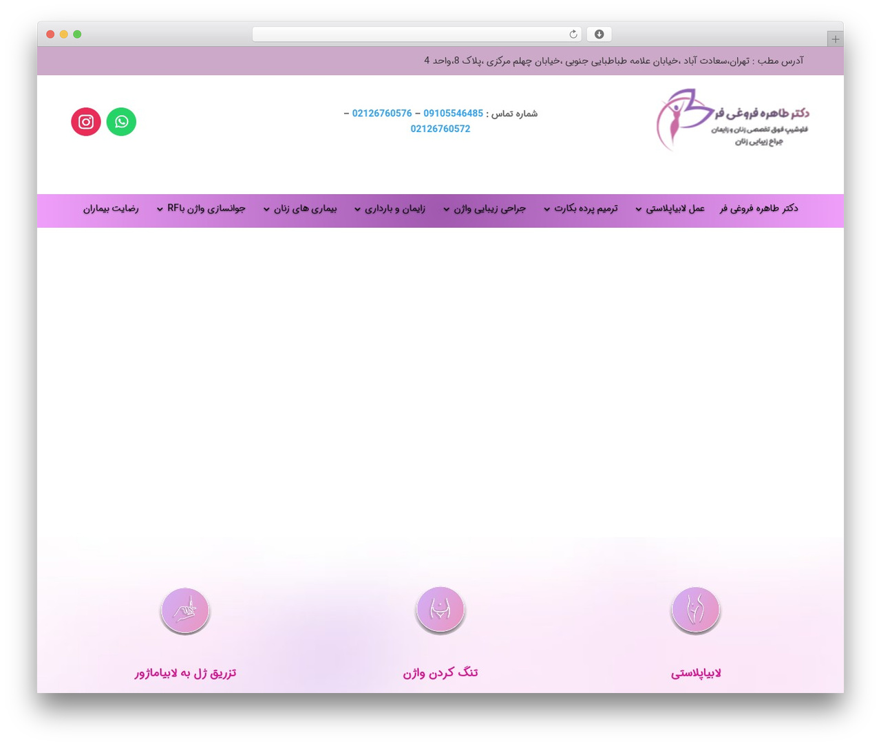 فارسی‌ساز هوشمند دیوی WordPress theme design - drforooghifar.com