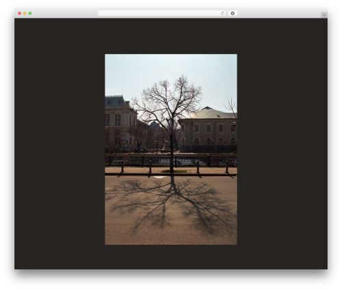PHOTON WordPress Theme WordPress theme design - radupavel.com