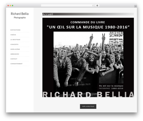Raw WordPress theme - richardbellia.com