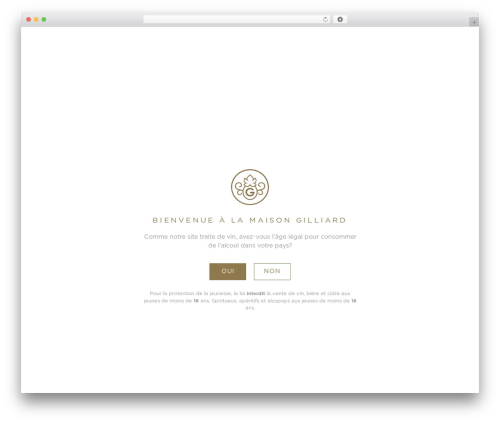 Facebook for WooCommerce (facebook-for-woocommerce) free WordPress plugin - gilliard.ch