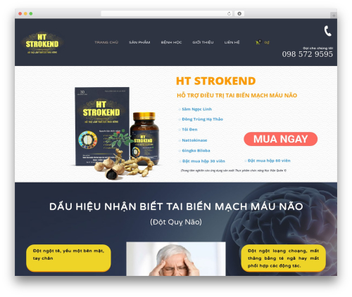 Handmade framework WordPress plugin - htstrokend.com