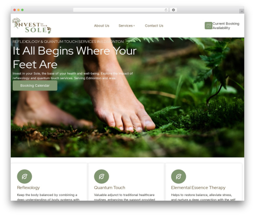 Romethemeform WordPress plugin - investinyoursole.com