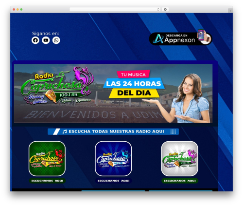 Wp logo showcase responsive slider pro WordPress plugin - radiolacaprichosa.com