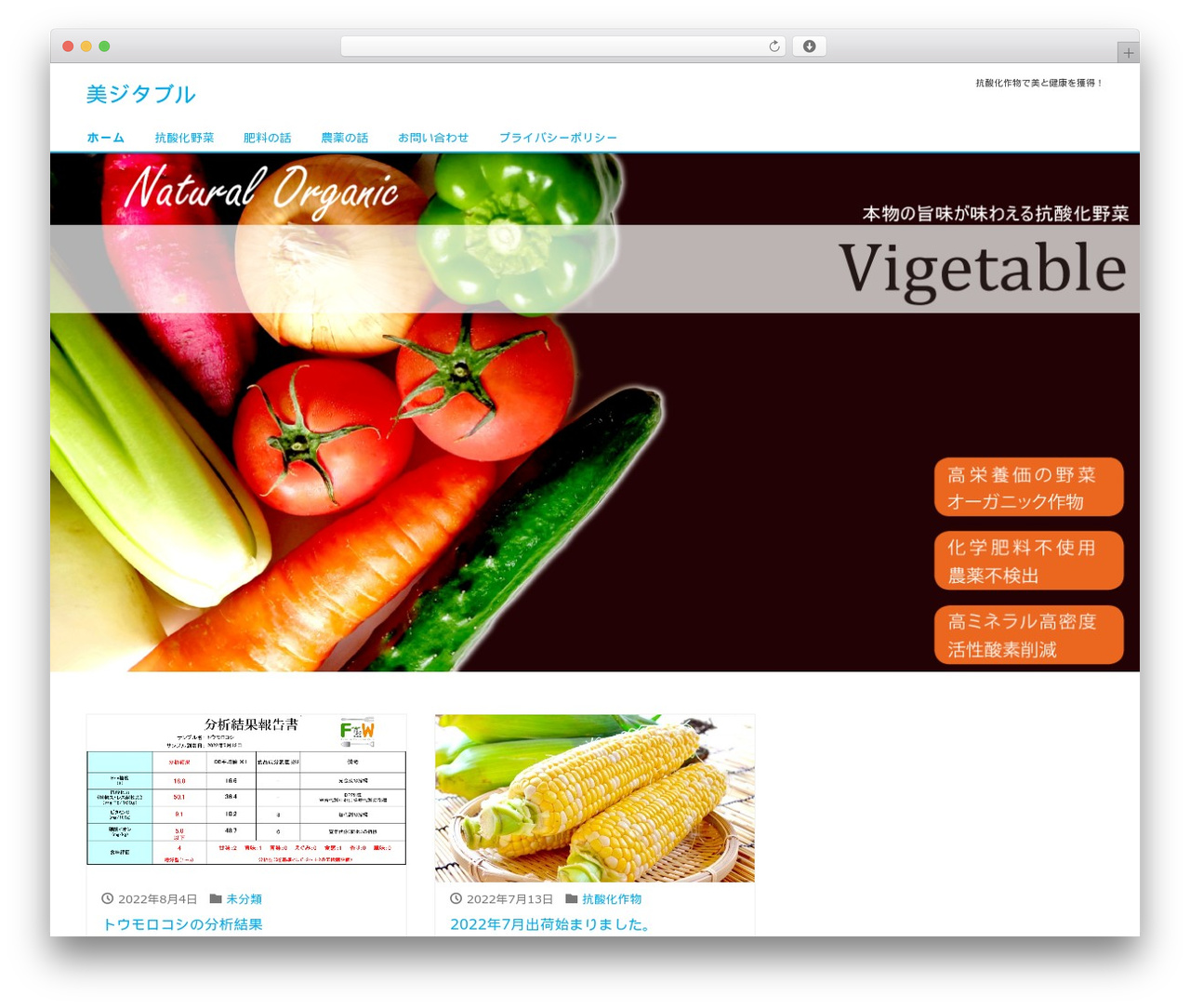 LIQUID theme WordPress - vigetable.com LIQUID theme WordPress - vigetable.com