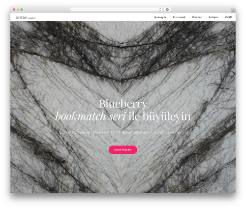 Dfd extensions WordPress plugin - antasmarble.com
