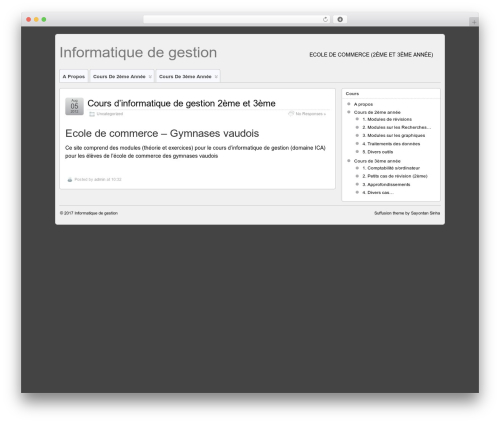 Best WordPress theme Suffusion - infogestion.pignat.info