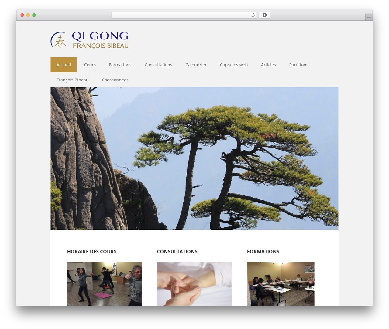 Executive Pro Theme WordPress theme - qigongfrancoisbibeau.com