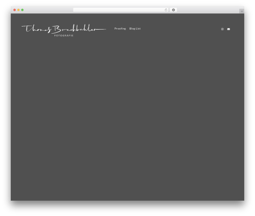 Imaginem blocks WordPress plugin - thbr.ch