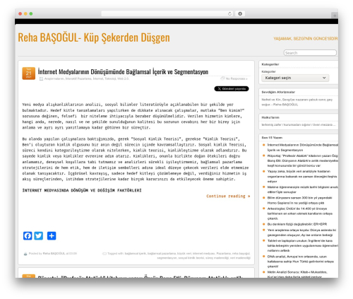 Flickr tag WordPress plugin - rehabasogul.com