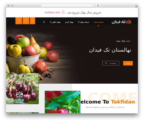 Codevz plus WordPress plugin - takfidan.com