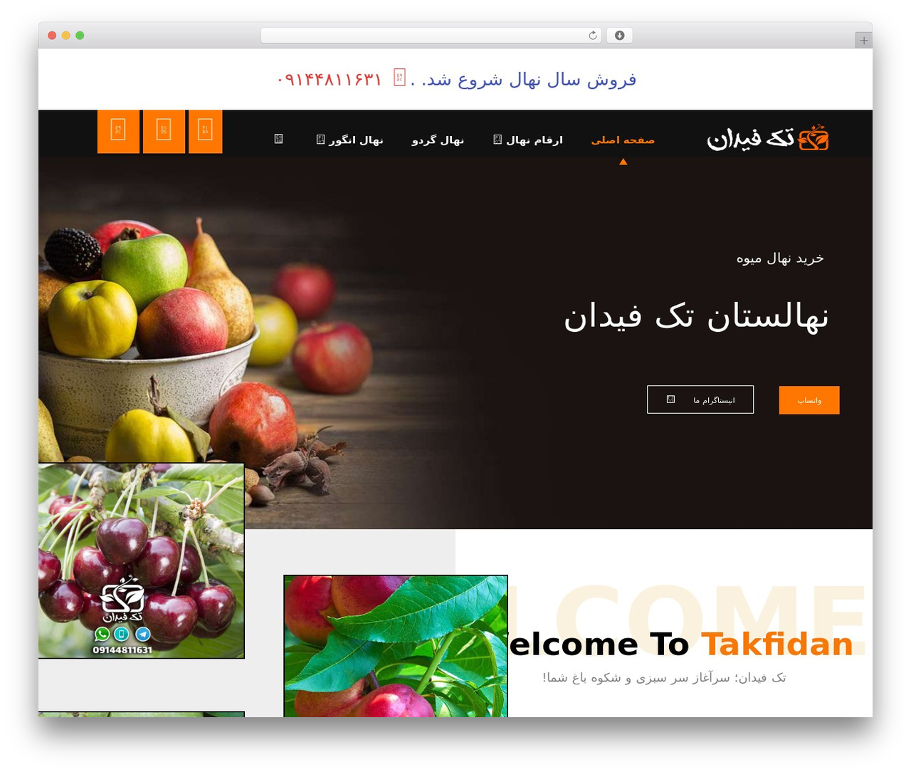 XTRA theme WordPress - takfidan.com