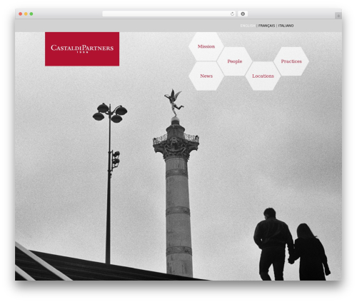 Modal_survey WordPress plugin - castaldipartners.com