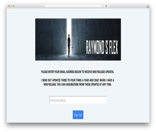 Responsive best WordPress theme - raymondsflex.com