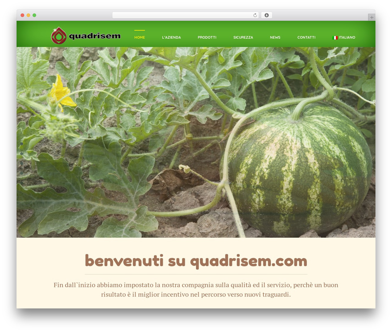 Theme WordPress Exotico Wordpress Theme - quadrisem.com Theme WordPress Exotico Wordpress Theme - quadrisem.com