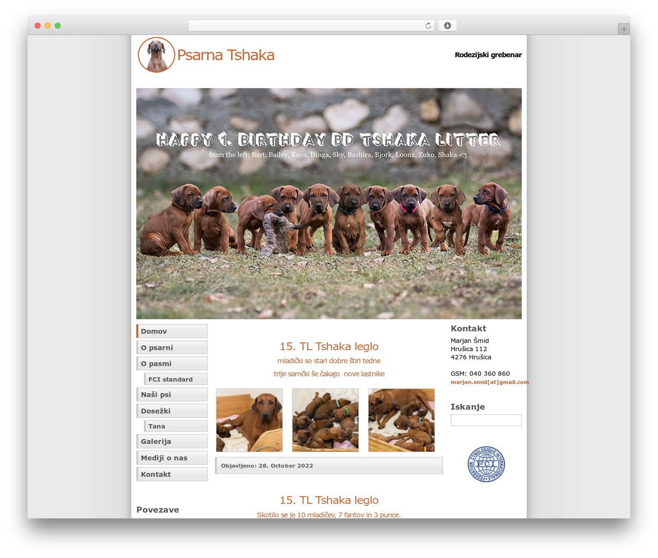 Theme WordPress WP-Andreas00 - rodezijski-grebenar.com Theme WordPress WP-Andreas00 - rodezijski-grebenar.com