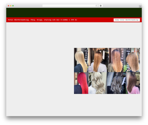 Hello Elementor theme WordPress - hemels.se