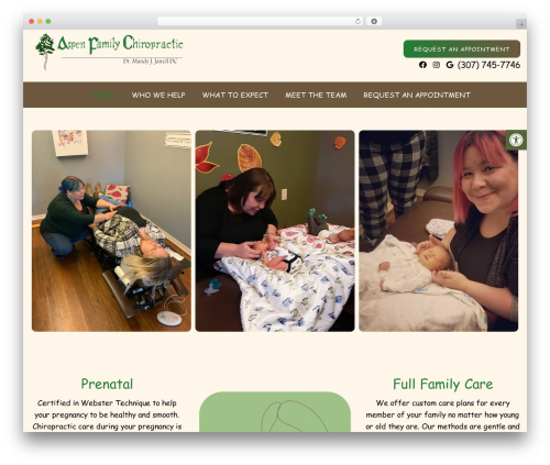 Parent Theme theme WordPress - aspenfamilychiropractic.com