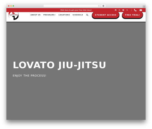 Strength theme WordPress - okbjj.com