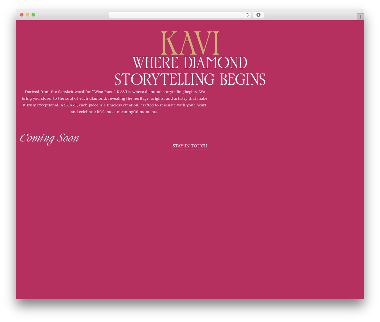 Theme WordPress Custom Theme - kavijewellery.com