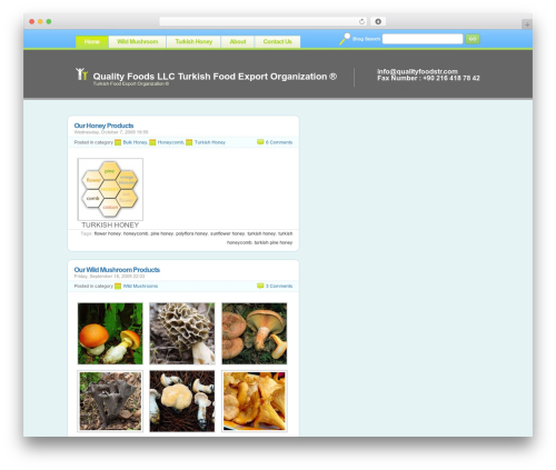 Theme WordPress Vibrant WordPress Theme - qualityfoodstr.com