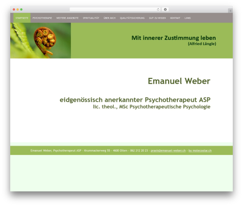 WordPress website theme Responsive - psychotherapie-weber-olten.ch