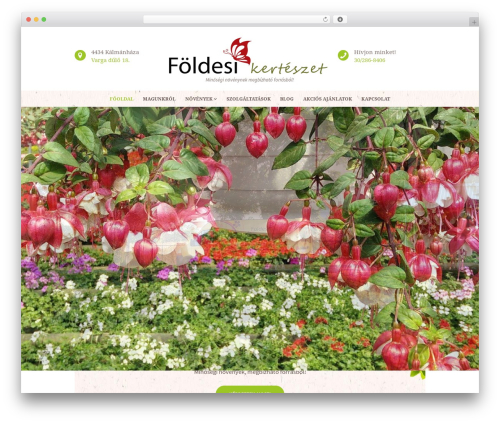 Buisson theme WordPress - foldesikerteszet.hu