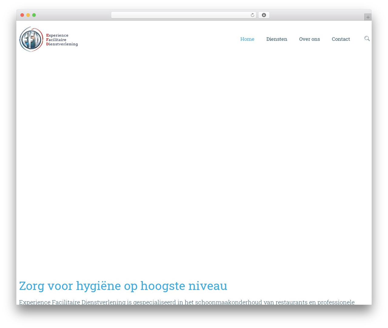 Firefly WordPress theme - experiencefd.nl