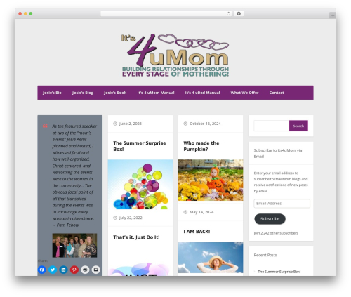 quickly top WordPress theme - its4umom.com