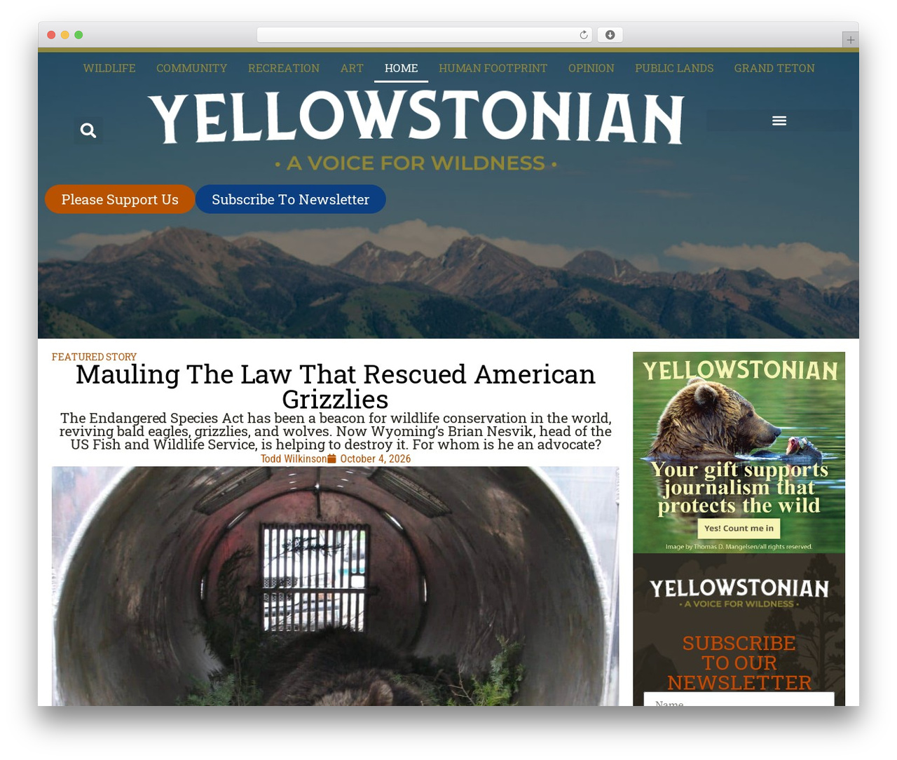 Theme WordPress Hello Elementor - yellowstonian.org Theme WordPress Hello Elementor - yellowstonian.org