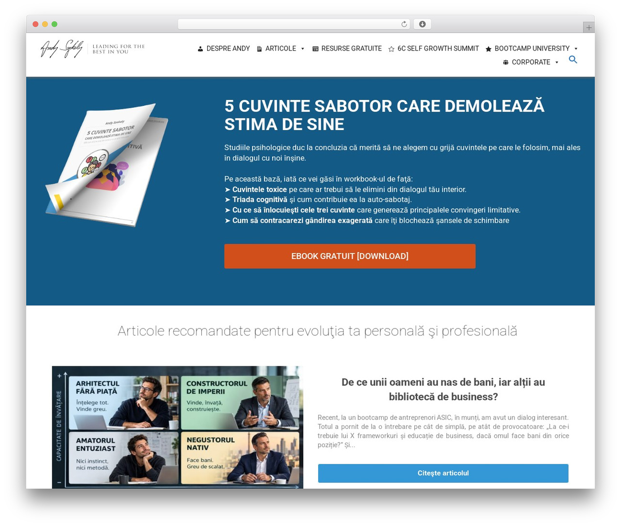 A theme WordPress - andyszekely.ro