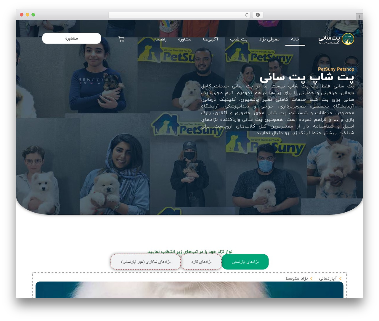 Hello Elementor theme WordPress - petsuny.com