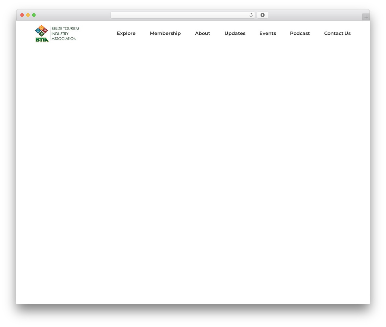 Roam theme WordPress - btia.org