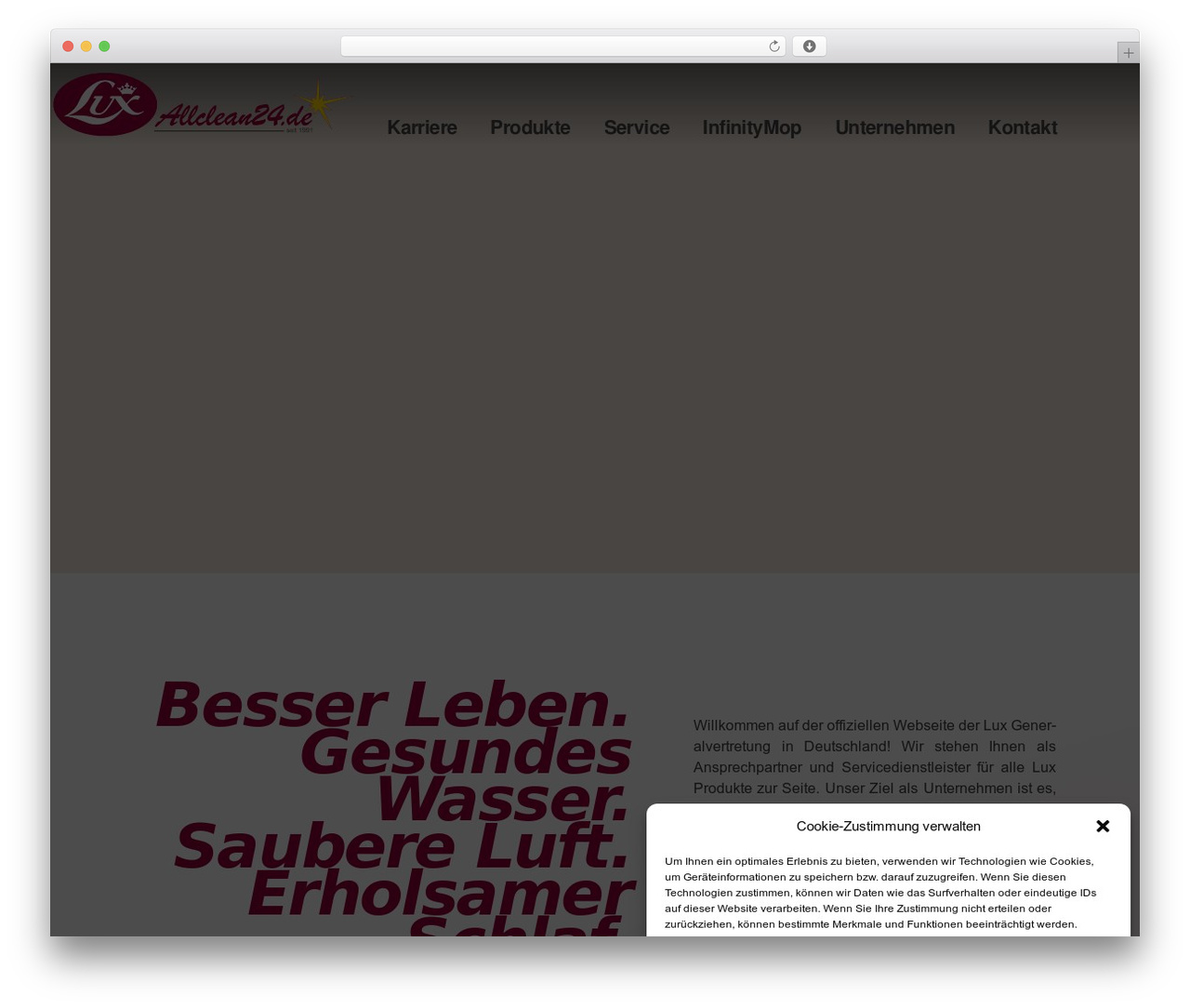 Theme WordPress Hello Elementor - allclean.de Theme WordPress Hello Elementor - allclean.de