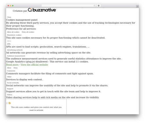 Buzznative Template WordPress theme - tuconnaislanouvelle.fr