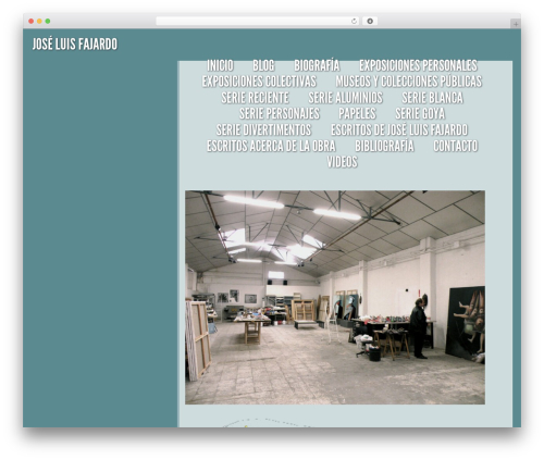 Flight WordPress theme - fajardopintor.com