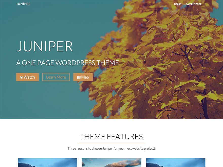 Juniper free WordPress theme