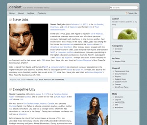 Librio WordPress website theme by Deniart