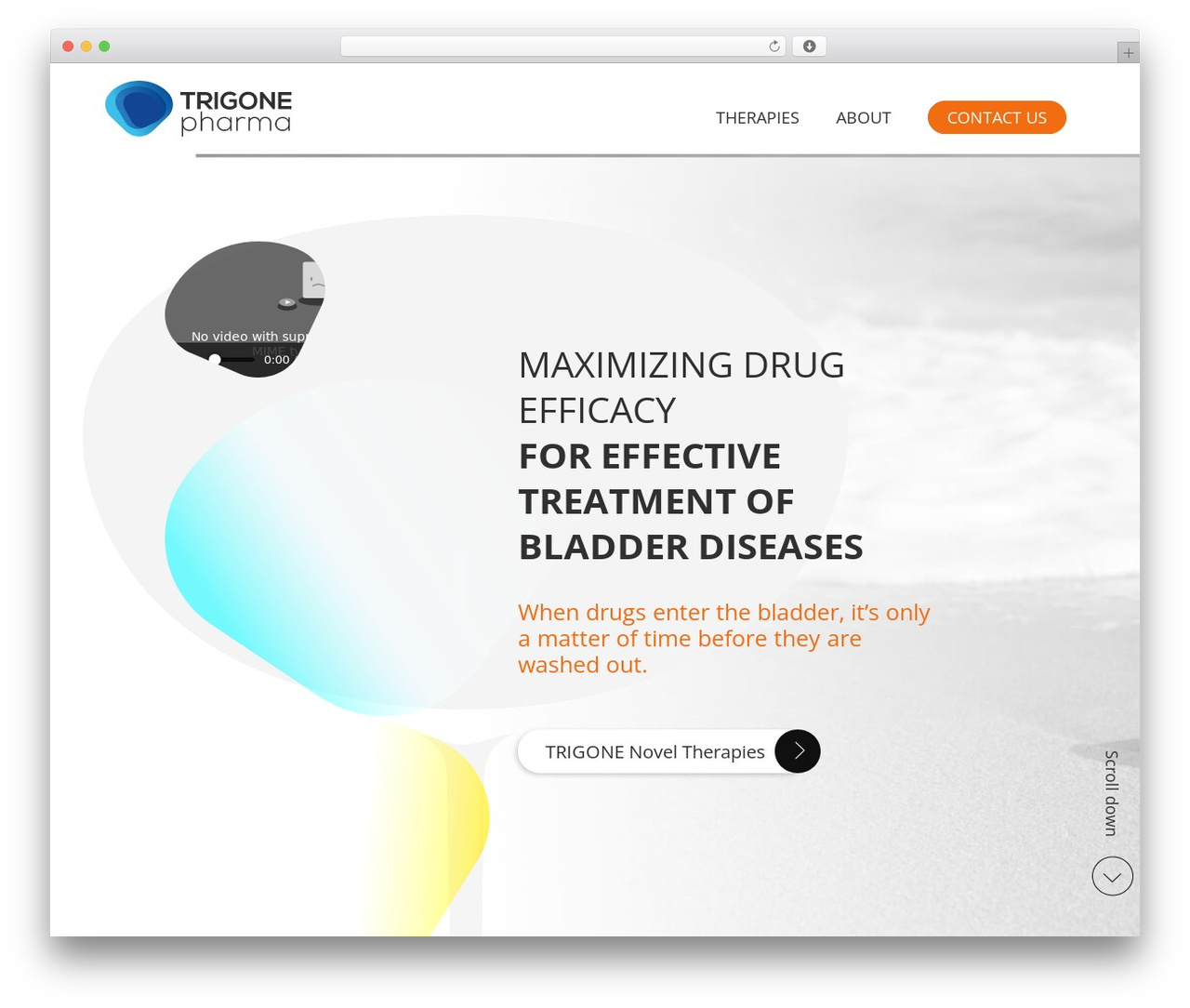 Starter Template top WordPress theme - trigonepharma.com Starter Template top WordPress theme - trigonepharma.com