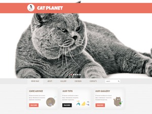 WordPress theme theme1934 WordPress theme theme1934