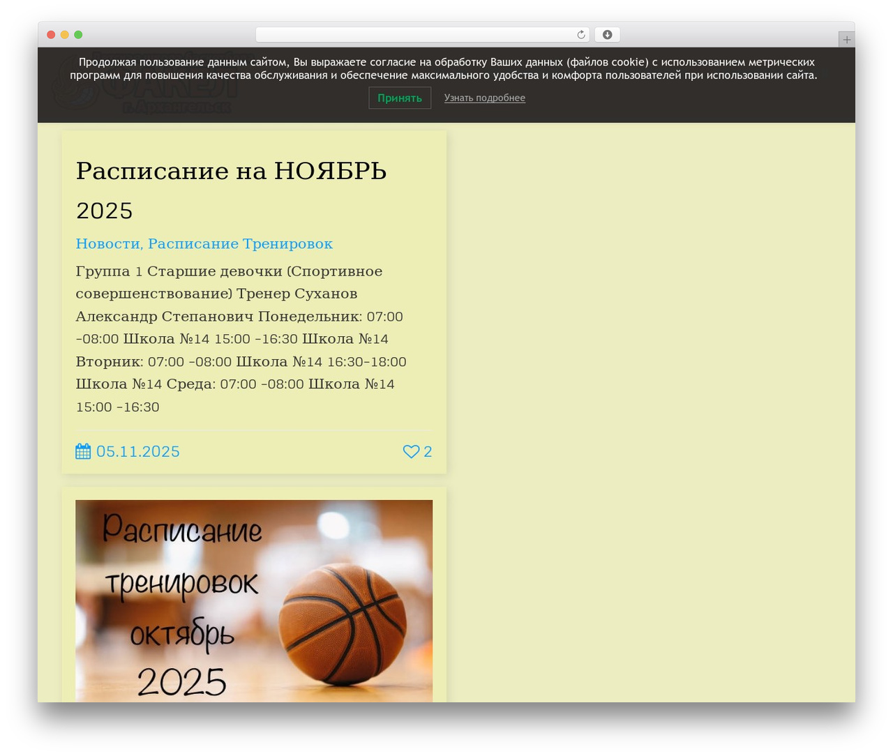 WP theme Cherry Framework - fakelbasket.ru WP theme Cherry Framework - fakelbasket.ru
