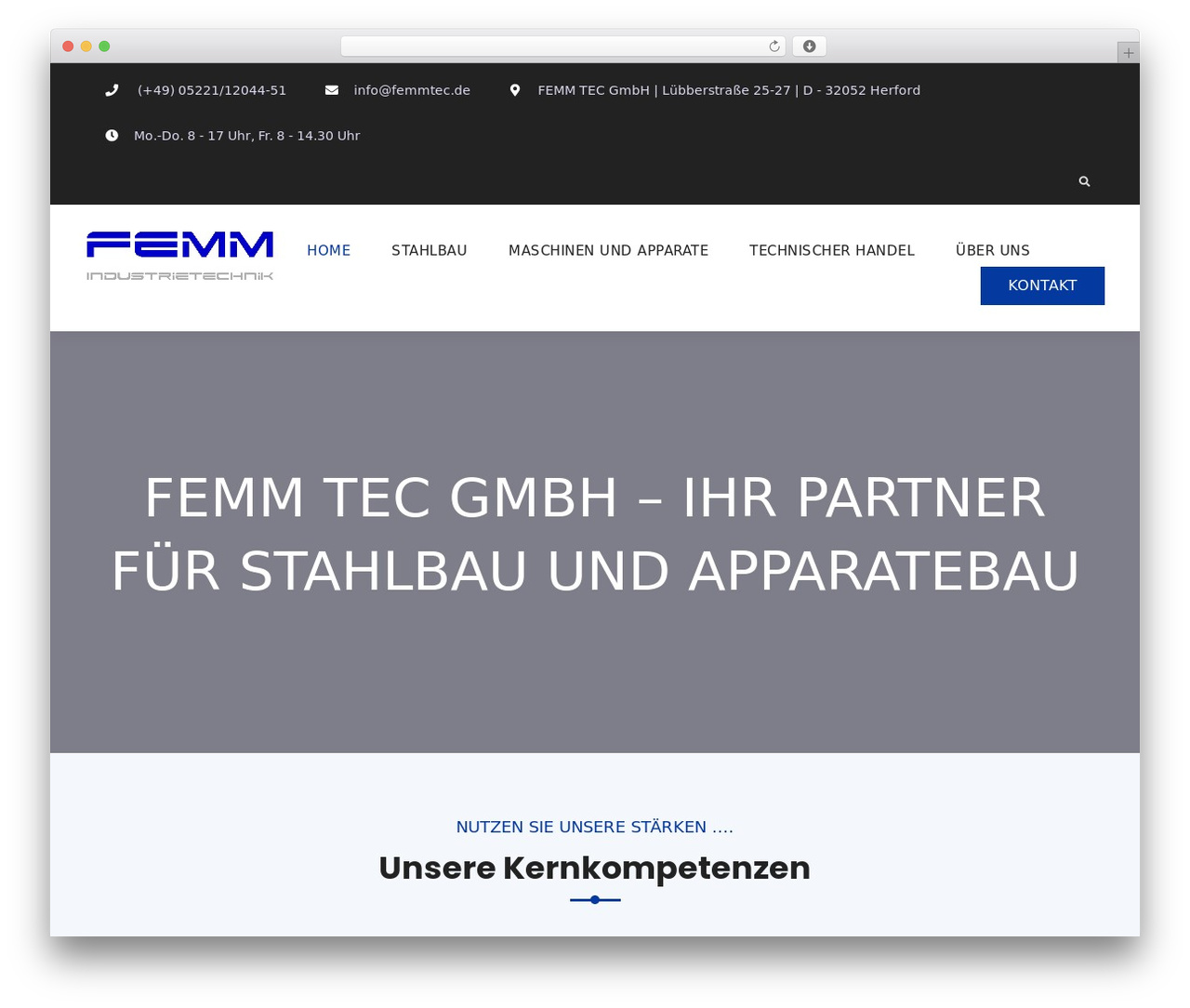 Deneb WordPress theme - femmtec.de