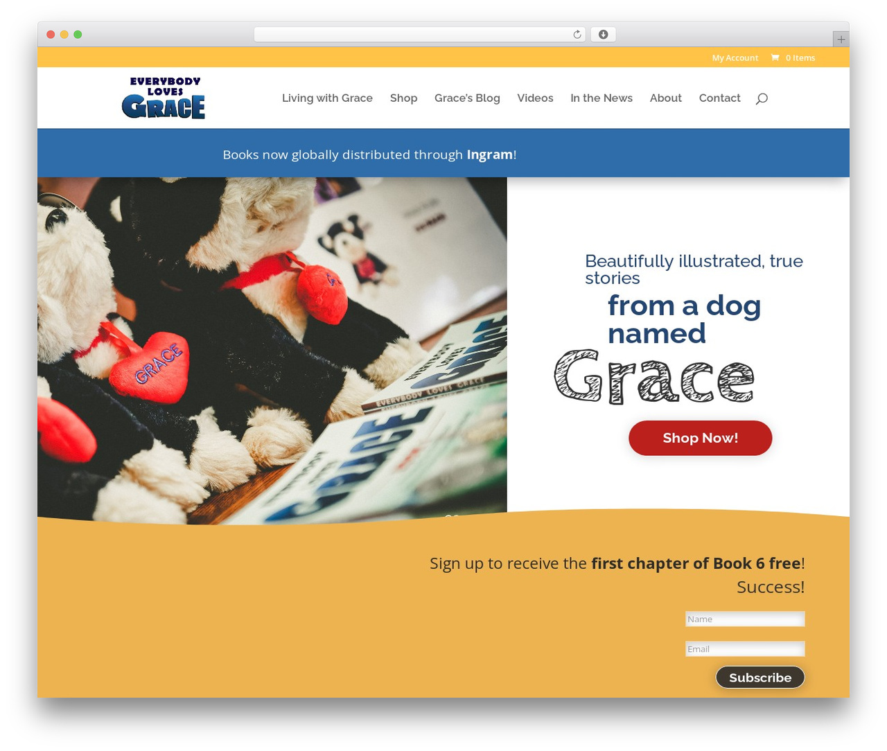 Divi WordPress theme - everybodylovesgrace.com