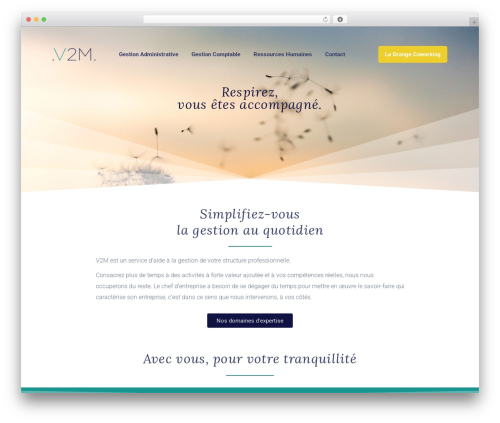Margin WordPress theme - v2mgestion.com