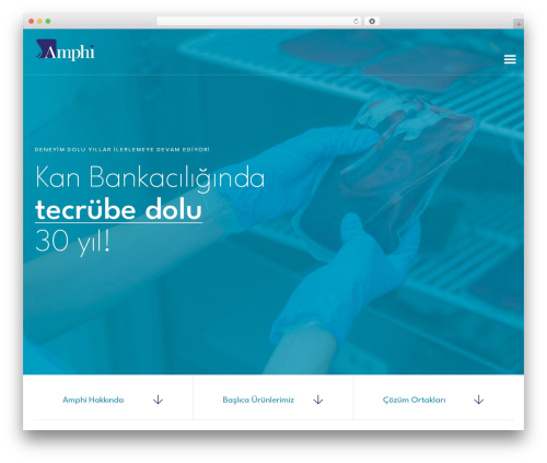 WordPress theme LabtechCO - amphi.com.tr