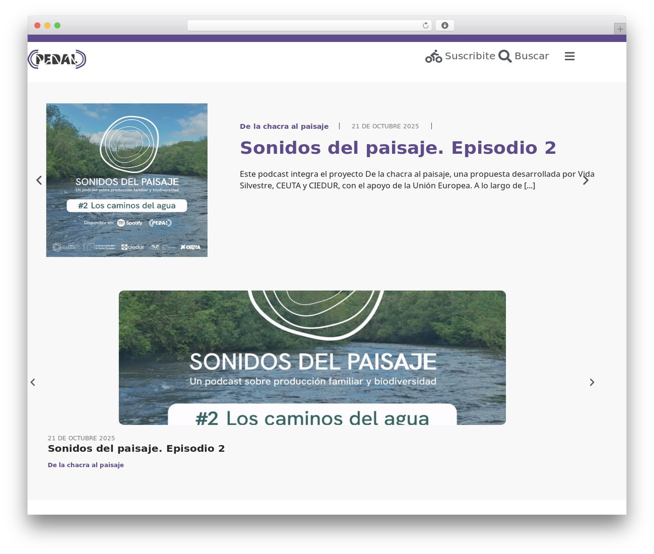WordPress theme Hello Elementor - radiopedal.uy WordPress theme Hello Elementor - radiopedal.uy
