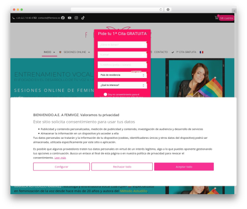 Hello Elementor WordPress theme - femivoz.es