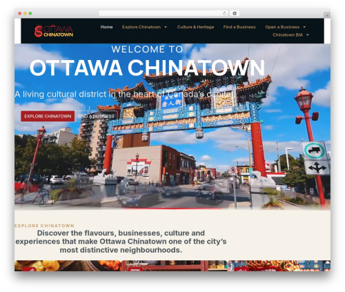 Better post filter widgets for elementor WordPress plugin - ottawachinatown.ca