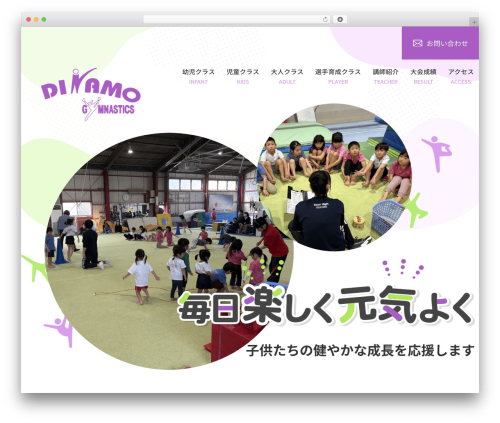 WordPress theme Themify Basic - birifusports.com