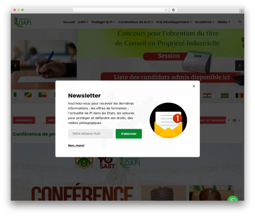 Linguise – Automatic multilingual translation (linguise) free WordPress plugin - oapi.int